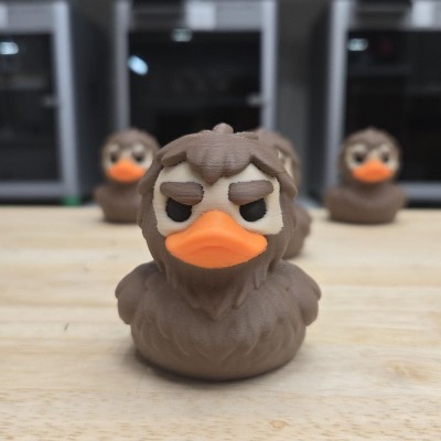 Halloween Ducks For Home Decor